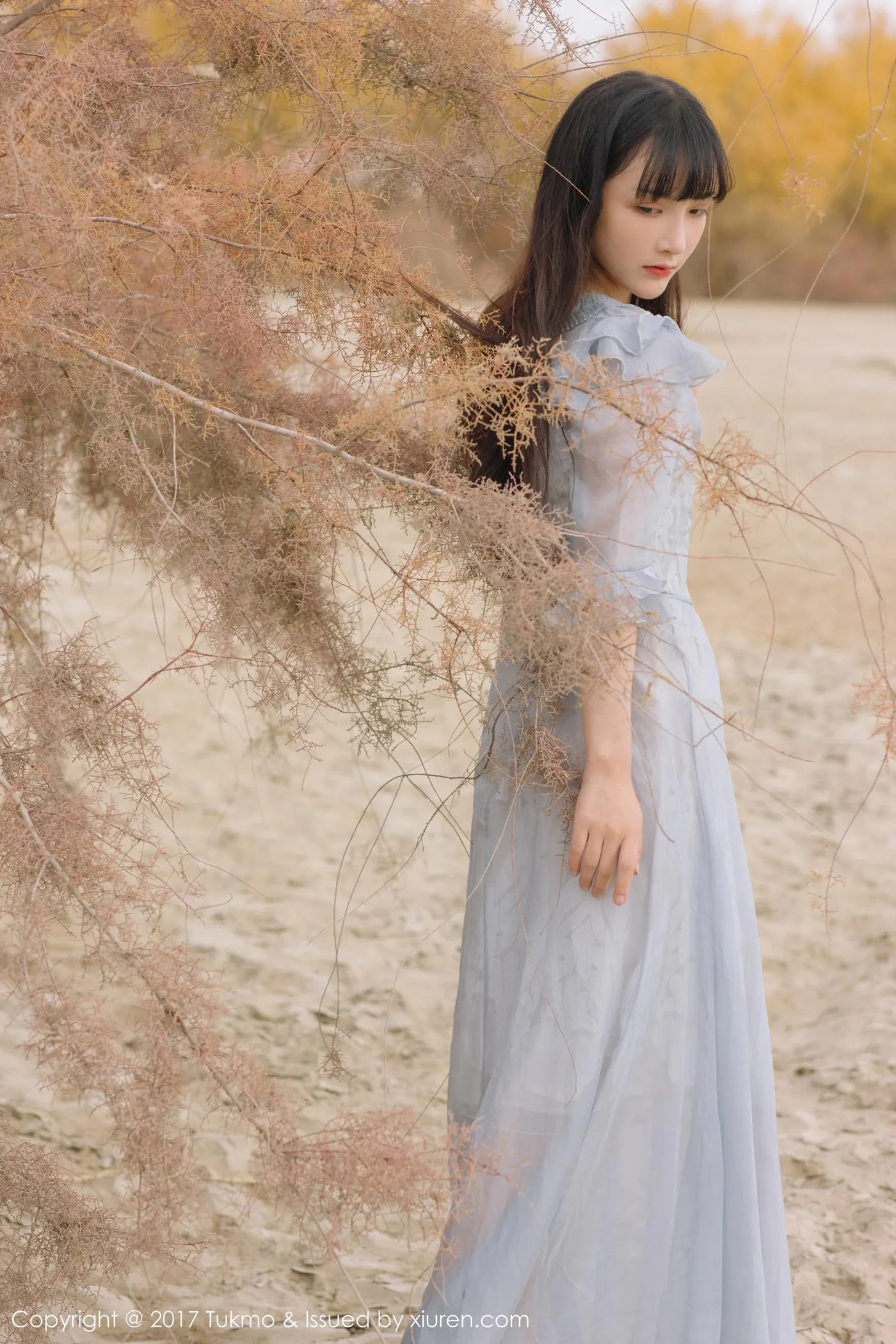 Vol.104 之应 [41P]插图5
